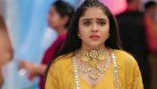 Anupamaa spoiler alert: OMG! Pakhi leaves the Shah house