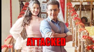 Baalveer Returns spoiler alert: Baalveer and Ananya get attacked by a giant shark