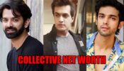 Barun Sobti, Parth Samthaan, Mohsin Khan: Collective net worth of TV stars