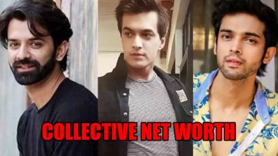 Barun Sobti, Parth Samthaan, Mohsin Khan: Collective net worth of TV stars