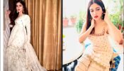 Bhumi Pednekar Looks Pretty In Sharara Suit