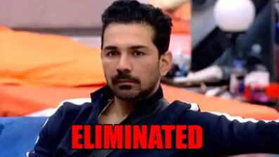 Bigg Boss 14: Abhinav Shukla eliminated in mid-week eviction