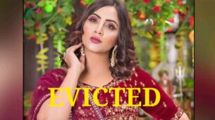 Bigg Boss 14: Arshi Khan gets eliminated