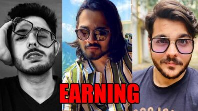 CarryMinati, Ashish Chanchlani, Bhuvan Bam: How much do they earn?