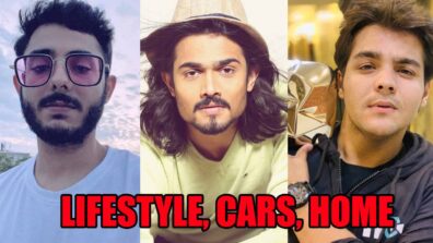 CarryMinati, Bhuvan Bam, Ashish Chanchlani: Lifestyle, cars, home