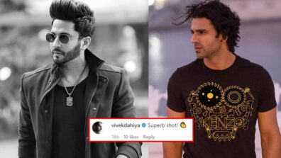 Dheeraj Dhoopar shares a hot picture, Vivek Dahiya comments ‘superb shot’