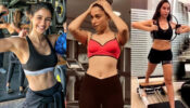Disha Patani, Tamannaah Bhatia, Nora Fatehi: Candid moments caught in gym camera