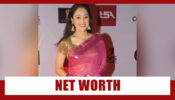 Disha Vakani And Her Income Details Revealed