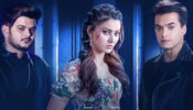 Good News: Urvashi Rautela and Mohsin Khan’s romance makes them ‘millionaires’, find out how
