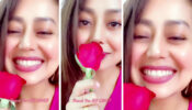 Happy Rose Day: Neha Kakkar dedicates a romantic message to Rohanpreet Singh, fans melt in AWE