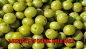 Indian Gooseberry Amla: Know 3 Benefits Of Eating Amla Daily