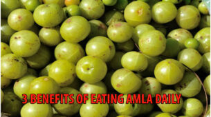 Indian Gooseberry Amla: Know 3 Benefits Of Eating Amla Daily