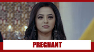 Ishq Mein Marjawan Spoiler Alert: Ridhima to get pregnant?