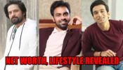 Jaideep Ahlawat, Jitendra Kumar, Pratik Gandhi: Net worth, lifestyle revealed