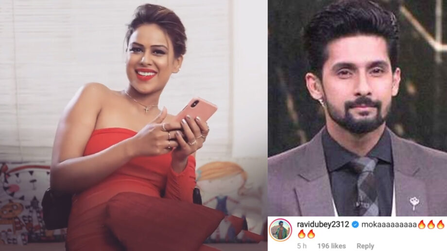 Jamai 2.0 Latest Buzz: Nia Sharma gives all her fans a 'special mauka' to cherish forever, Ravi Dubey reacts