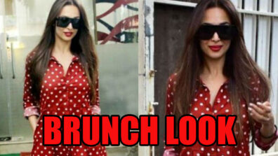 Malaika Arora’s Top 5 Outfits You Could Utilize For Your Brunch Date