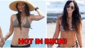 Megan Fox Looks Hot In Bikini, See Picture