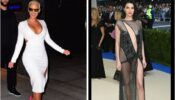 Most Revealing Outfits Worn By Hollywood Actresses From Kendall Jenner To Amber Rose Of All The Times