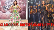 Neeti Mohan To Neha Kakkar: Glamorous Dresses On Reality Shows