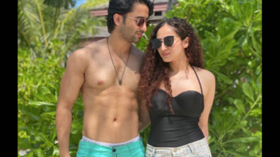 No greater adventure: Shaheer Shaikh shares super hot shirtless photo with wife Ruchikaa Kapoor, fans in love with their chemistry