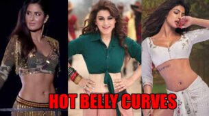 Want Hot Belly Curves Like Katrina Kaif, Hansika Motwani & Priyanka Chopra? Take Inspiration From Photos Below