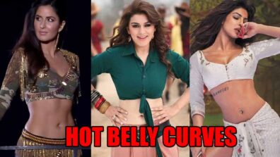 Want Hot Belly Curves Like Katrina Kaif, Hansika Motwani & Priyanka Chopra? Take Inspiration From Photos Below