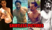Parth Samthaan, Shaheer Sheikh, Karan Singh Grover, Barun Sobti: Shirtless pictures to make you sweat