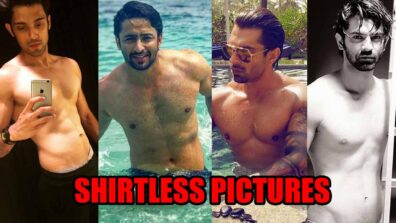 Parth Samthaan, Shaheer Sheikh, Karan Singh Grover, Barun Sobti: Shirtless pictures to make you sweat