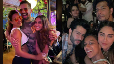 Pawri Abhi Baaki Hai: Nia Sharma caught on camera chilling all night with Krystle D’souza, Sehban Azim & Vishal Singh, leaked photo goes viral