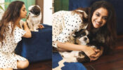 Pet Love: Keerthy Suresh shares super adorable moment with her cute dog, netizens melt in awe