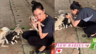 Pet Love: Unseen adorable video of Munmun Dutta aka Babita cuddling street dogs and puppies go viral