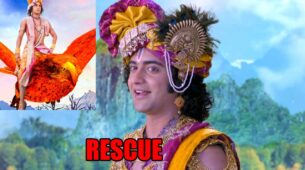 RadhaKrishn spoiler alert: Garud comes to Krishna’s rescue