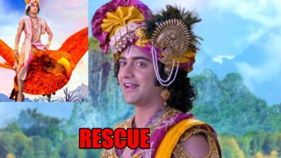 RadhaKrishn spoiler alert: Garud comes to Krishna’s rescue