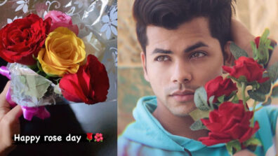 Rose Day Swag: Who is the special Aladdin fame Siddharth Nigam is giving roses to?