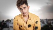 Salman Zaidi quits MTV Splitsvilla X3