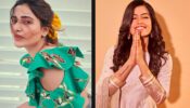 Samantha Akkineni To Rashmika Mandanna: 5 Times These Actresses Made Us Crush On Them