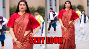 Sapna Choudhary Exactly Knows How To Ace The Red Saree With Designer Blouse: Have A Look