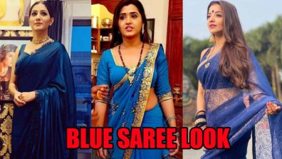 Sapna Choudhary, Kajal Raghwani, Antara Biswas: Top 4 Hottest Celebs Who Rocked The Blue Saree To Perfection