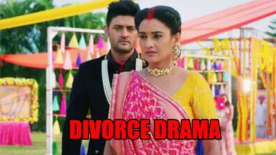 Shaadi Mubarak spoiler alert: SHOCKING! Preeti demands divorce from KT