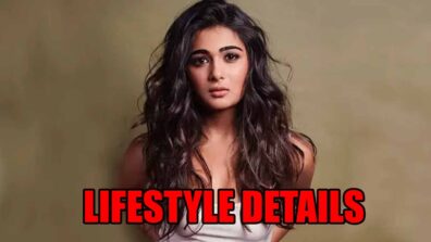 Shalini Pandey’s Lifestyle Details REVEALED