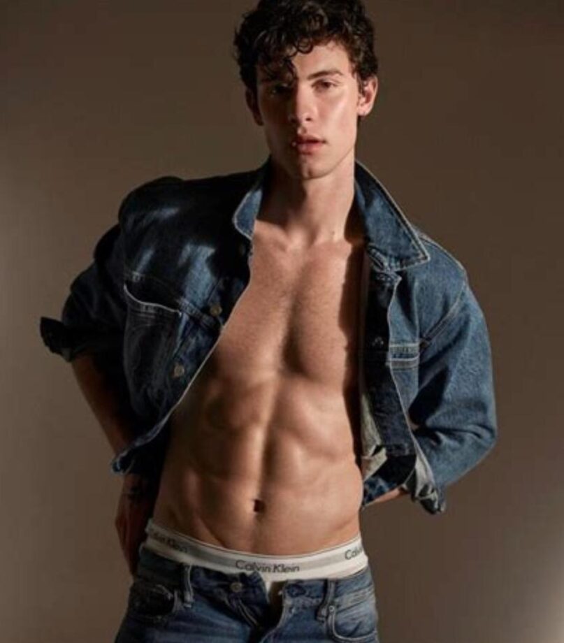 Shawn Mendes’s Top 5 Hottest Looks That Every Boy Wished He Had - 2