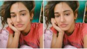 Sleeping Beauty: This is how Disha Patani looks in reality after a tiresome late night shoot, see viral photo