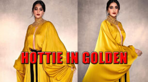 Sonam Kapoor’s Recent Instagram Post In Golden Gown Sets Internet On Fire; See Pictures
