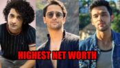 Sumedh Mudgalkar, Shaheer Sheikh, Parth Samthaan: TV Actors With Highest Net Worth