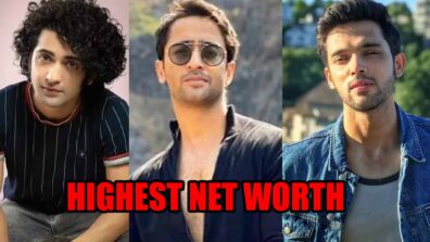 Sumedh Mudgalkar, Shaheer Sheikh, Parth Samthaan: TV Actors With Highest Net Worth