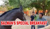 SUPER CUTE MOMENT: When Salman Khan had grass for breakfast with his cute farmhouse horse