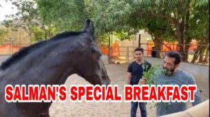 SUPER CUTE MOMENT: When Salman Khan had grass for breakfast with his cute farmhouse horse