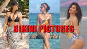 Taapsee Pannu, Jacqueline Fernandez, Ileana D’Cruz’s Bikini Pictures From Their Vacation Go Viral!