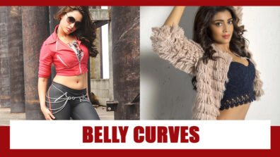 Tamannaah Bhatia, Shriya Saran: Hottest Belly Curves