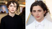 Top 3 Best Movies Of Timothee Chalamet